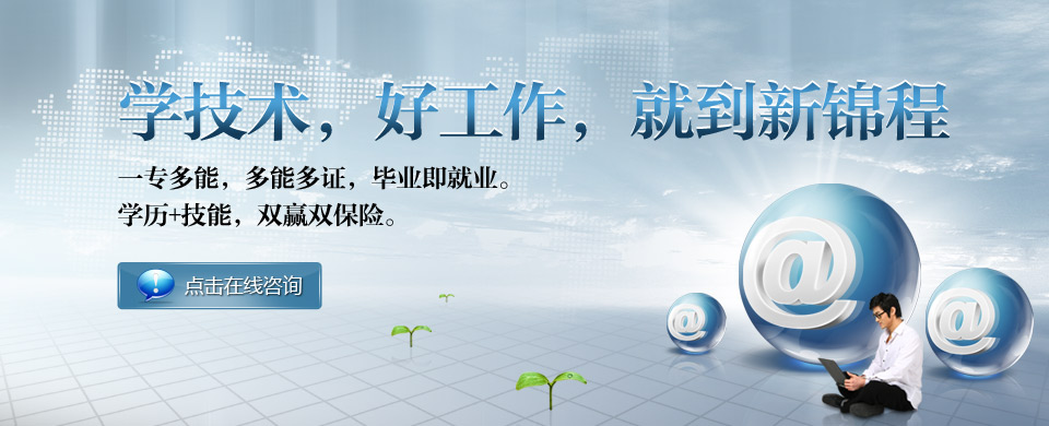 学历+技能 双赢双保险